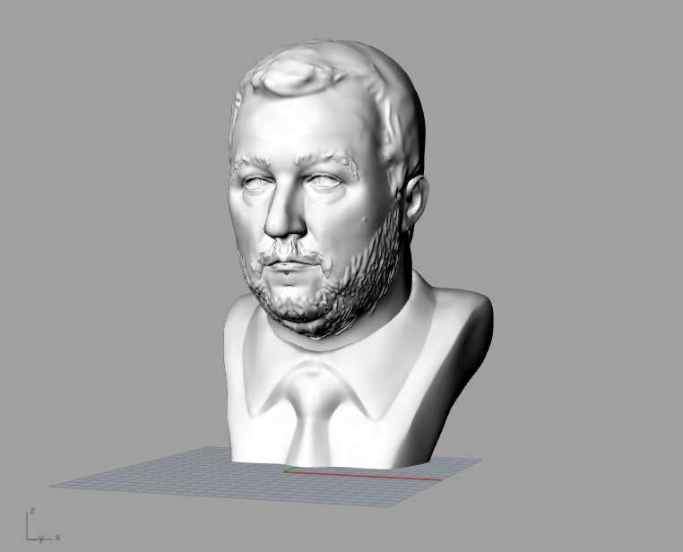 Busto Salvini